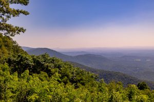 Read more about the article Travel | Blue Ridge Bliss: A journey through Southwest Virginia – Florida NewsLine