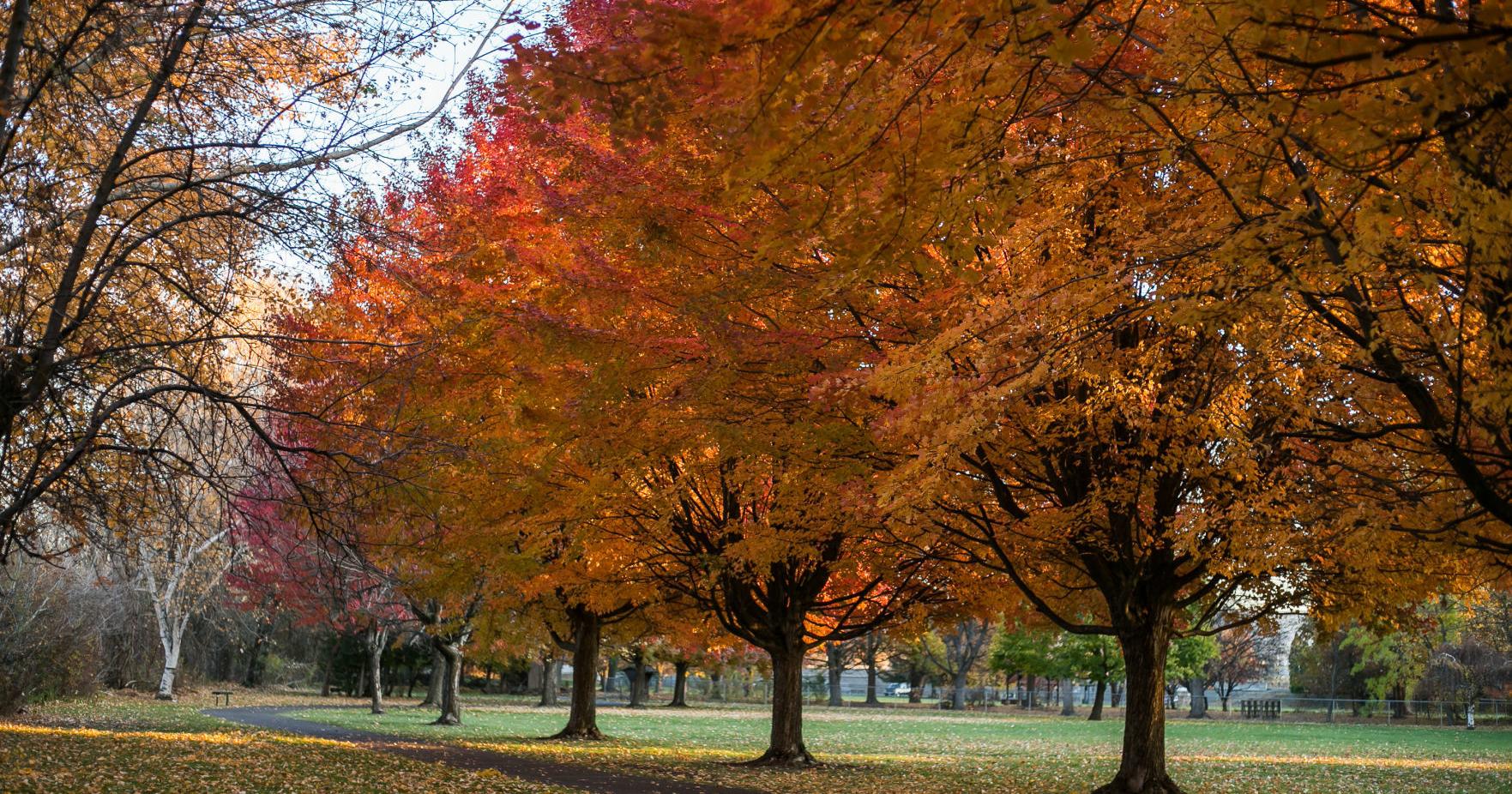 You are currently viewing Yakima Valley among the nation's top fall travel destinations – Yakima Herald-Republic