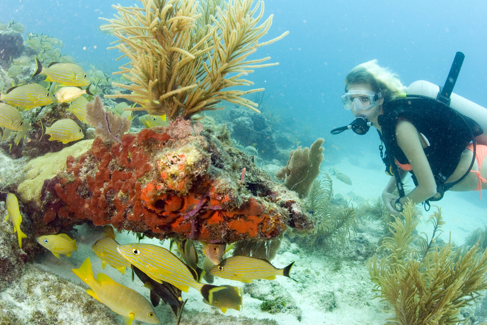 You are currently viewing FLORIDA KEYS TOURISM HOLDING STEADY AS OTHER MARKETS SOFTEN; TDC CEO TO DISCUSS STATE OF THE INDUSTRY SEPT. 4 – Keys Weekly Newspapers