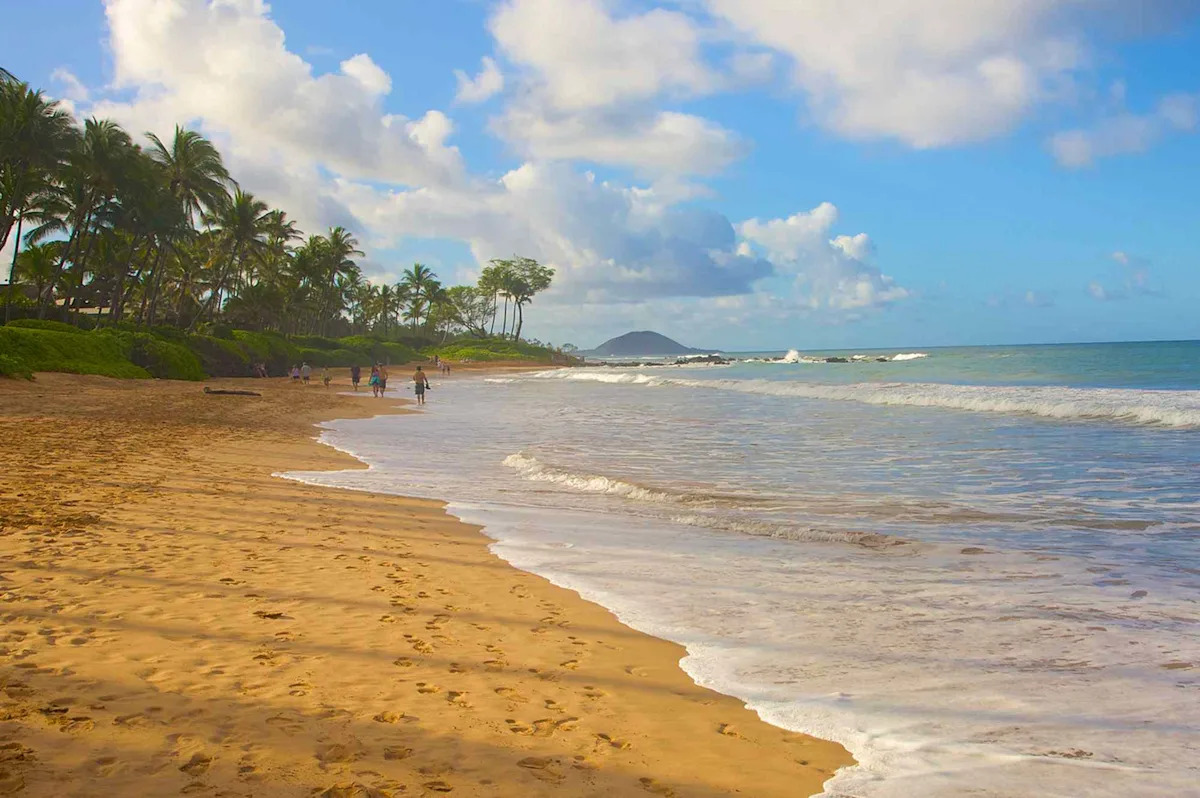 You are currently viewing This Is the Best Beach in Hawaii—and It Has White Coral Sand, Calm Clear Waters, and Winter Whale-watching