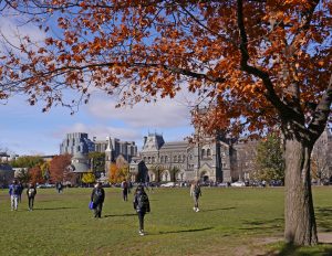 Read more about the article Trump’s travel ban derails dreams of foreign students to study in US colleges – The Federal