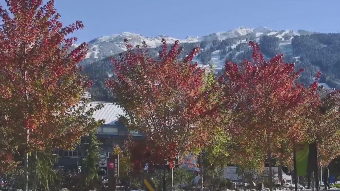 You are currently viewing Travel experts share tips and tricks for tourists looking for a fall getaway – WQAD