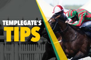 Read more about the article Horse racing tips: ‘He’s in top form’ – Templegate’s 15-8 Tuesday NAP – The Sun