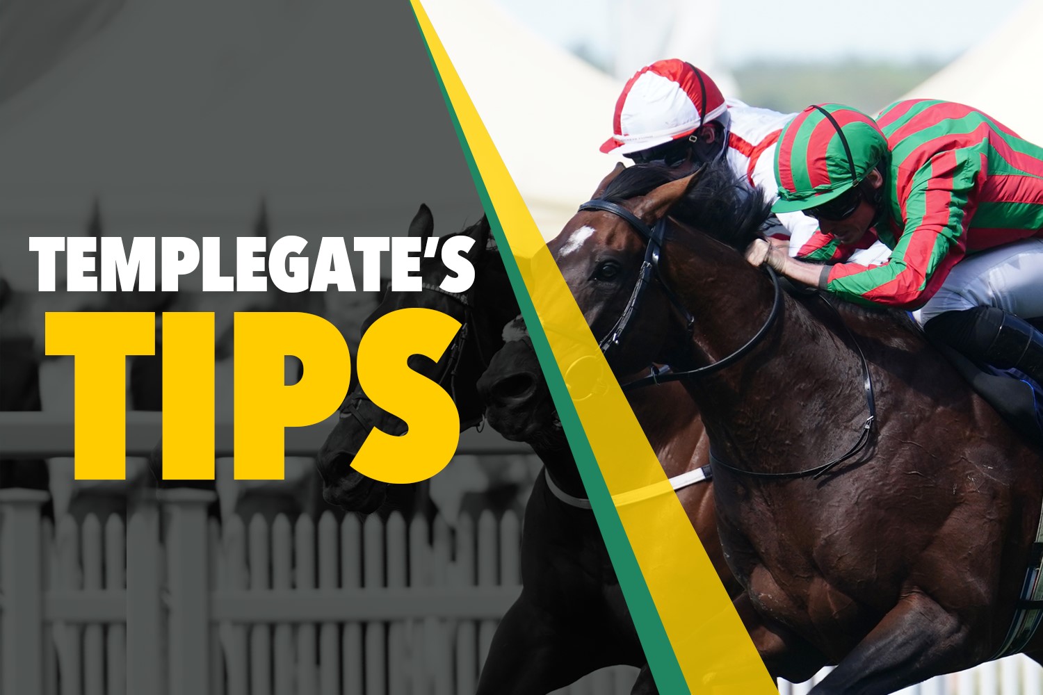 You are currently viewing Horse racing tips: ‘He’s in top form’ – Templegate’s 15-8 Tuesday NAP – The Sun