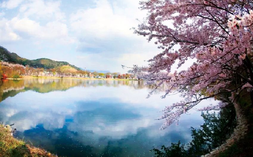 You are currently viewing Explore Gyeongnam, South Korea’s Vibrant Fall Travel Packages for 2025: Festivals, Scenic Nature, and Exclusive Deals – Travel And Tour World