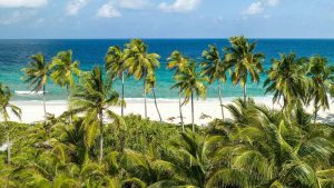 Read more about the article Planning the Perfect Florida Beach Getaway: What Annapolis Residents Should Know – Eye On Annapolis