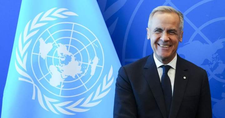 You are currently viewing Canada adds Palestinian state to Israel travel advisory after recognition – Global News