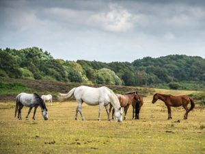 Read more about the article 20 of our absolute favourite day trips from London – Time Out Worldwide