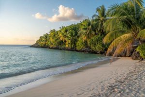 Read more about the article Secret Season at Aurora Anguilla: Exclusive Luxury and Unmatched Value for a Perfect Caribbean Getaway – Travel And Tour World