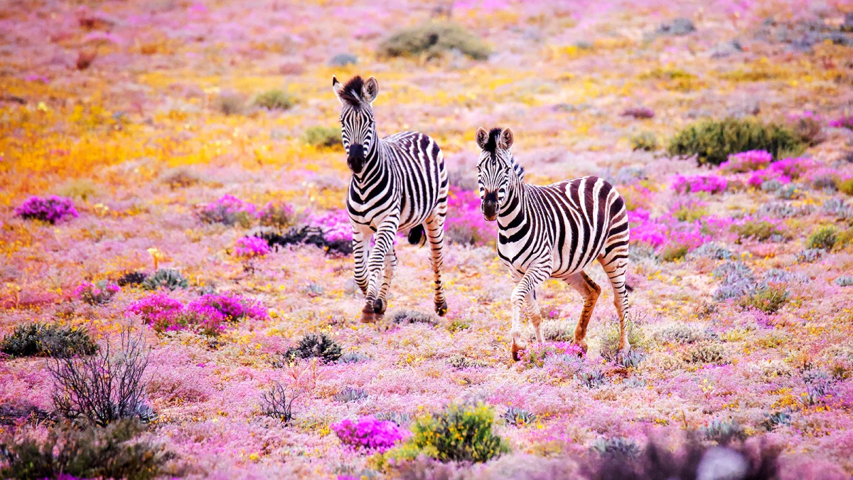 You are currently viewing 17 of the best places to visit in September 2025 – The Times