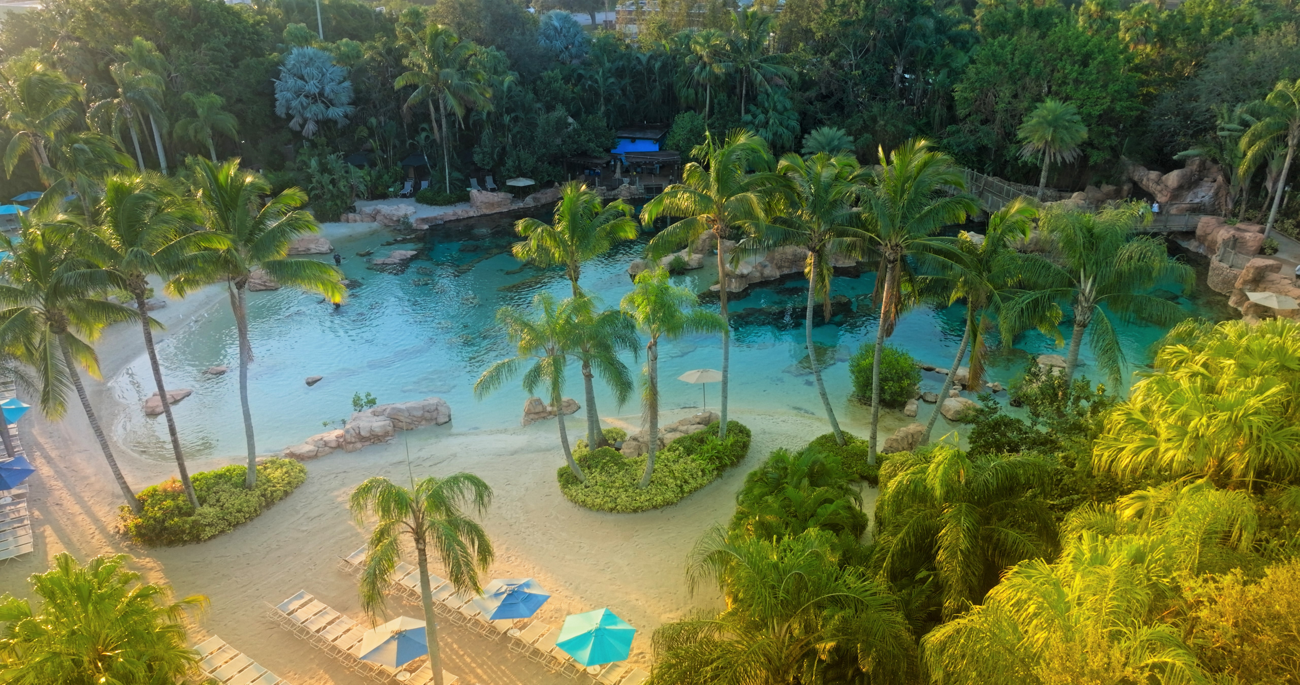 You are currently viewing Skip the Crowds: Inside Orlando’s Hidden Paradise Where You Can Swim With Dolphins for 40% off This Fall – Woman's World