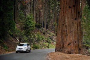 Read more about the article This Is the No. 1 Car Rental Company in the U.S., Study Finds – Yahoo News Singapore