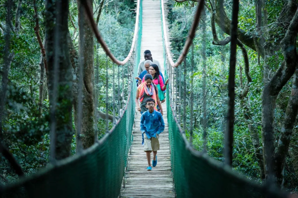 Read more about the article From Family Trips to Solo Journeys: The Changing Face of Indian Leisure Travel