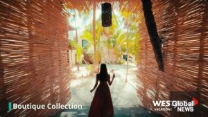 Read more about the article New seasonable vacation packages offering winter escape: AMA Travel – Global News