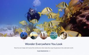 Read more about the article HIGH-TECH HOSPITALITY: KEYS TOURISM AGENCY LAUNCHES NEW WEBSITE – Keys Weekly Newspapers