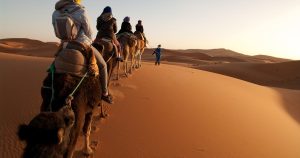 Read more about the article The top trending destinations for adventure travellers in 2026 – itij.com