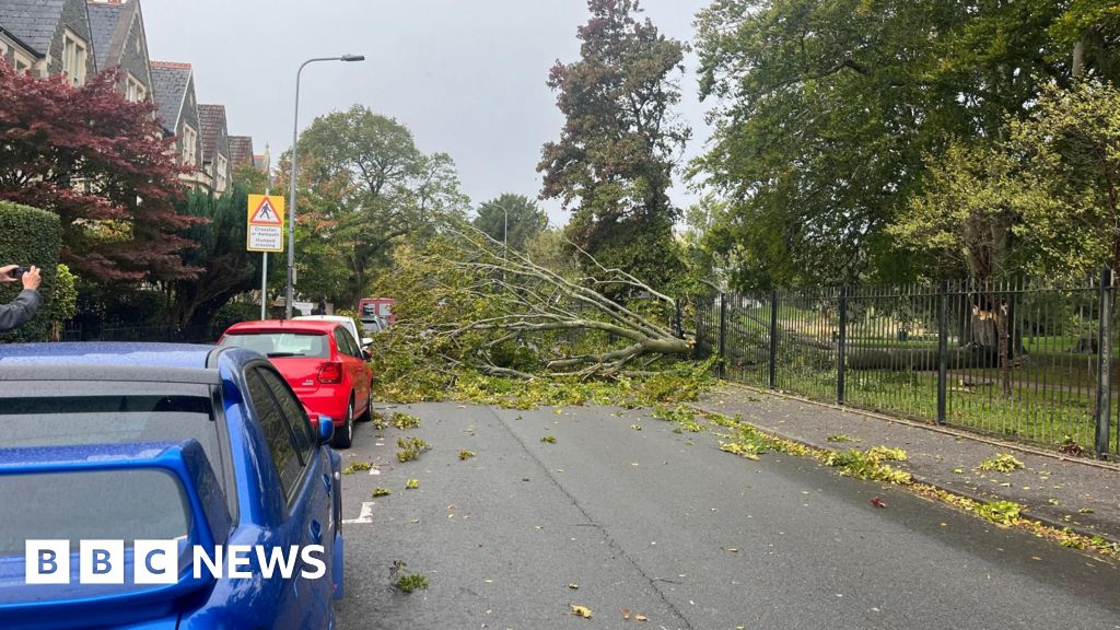 Read more about the article Hundreds without power and travel disruption as Storm Amy hits Wales – BBC