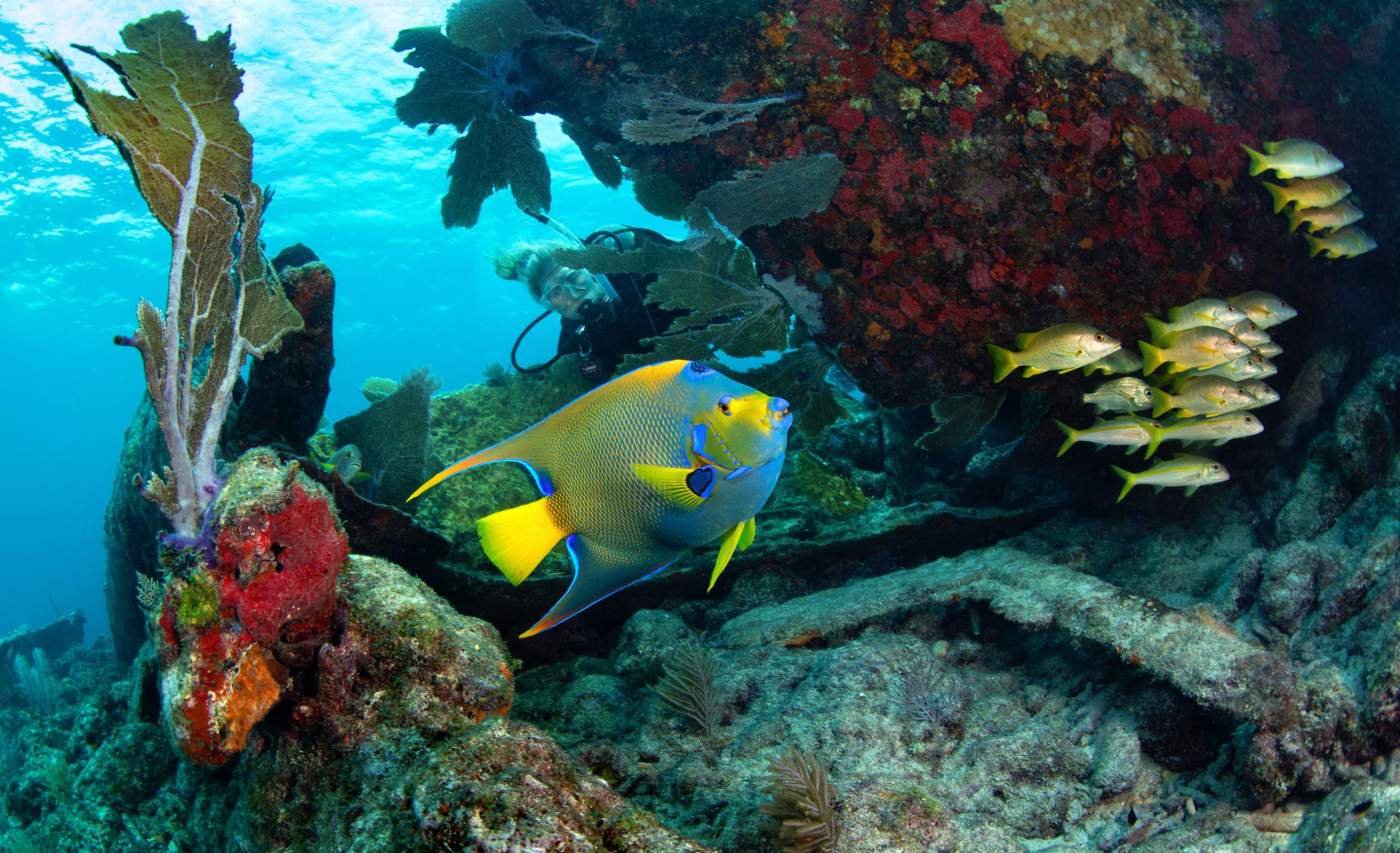 You are currently viewing Keep The Keys Clean – Florida Keys & Key West