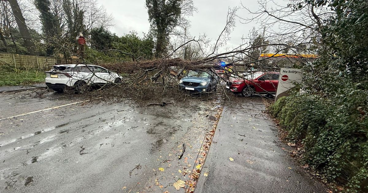 You are currently viewing Storm Claudia LIVE updates as flood alerts issued and Greater Manchester railway lines blocked – Manchester Evening News