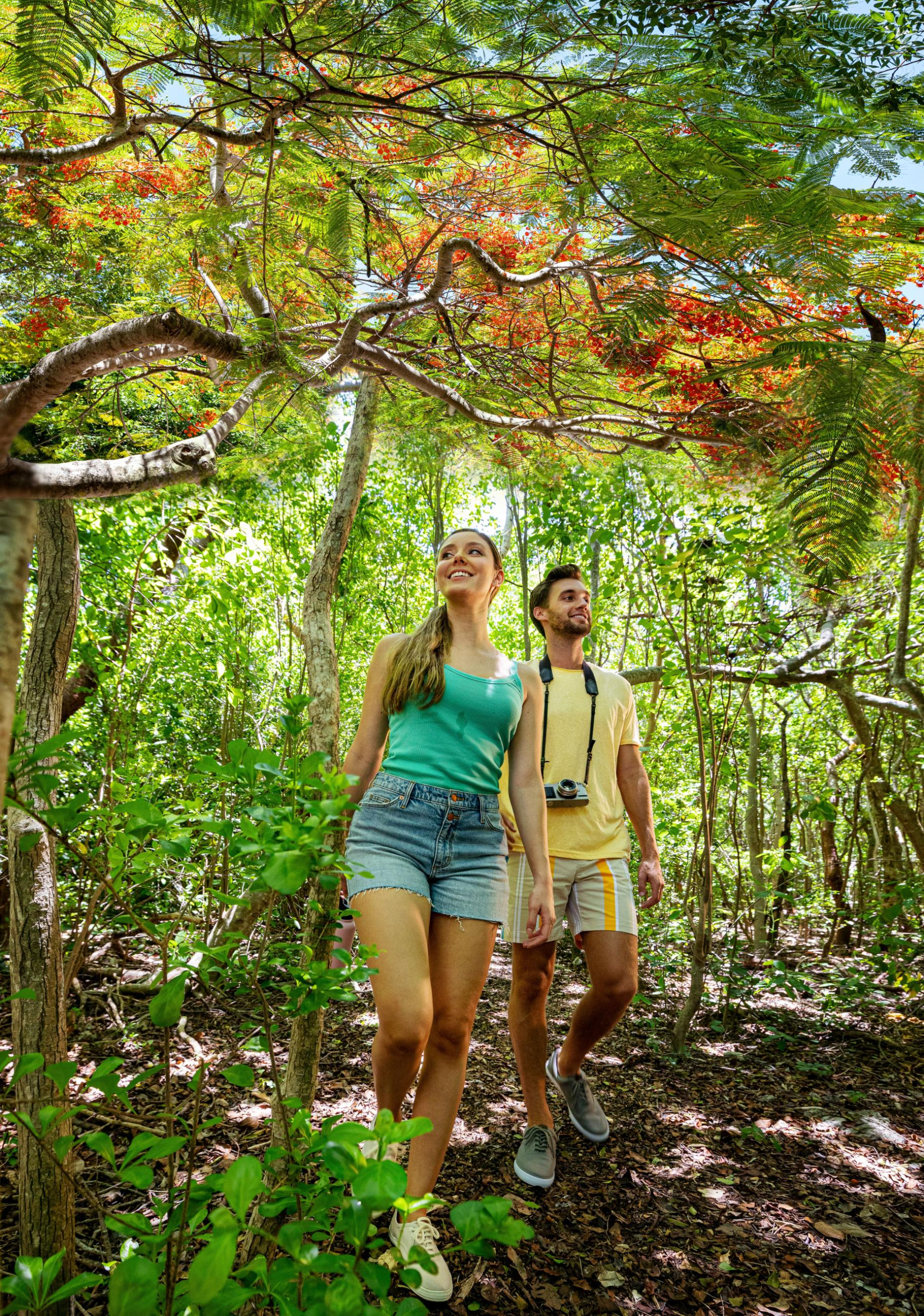 You are currently viewing Itineraries – Florida Keys & Key West