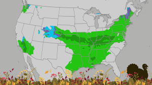 Read more about the article Thanksgiving Travel Forecast: Will Weather Be A Valid Excuse To Delay Showing Up At Your In-Laws'? – AOL.com