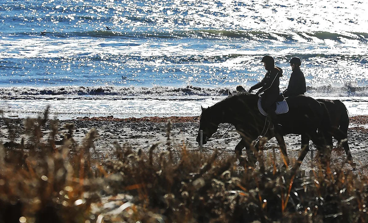 You are currently viewing Travel + Leisure says this 'affordable' SouthCoast town has Cape charm