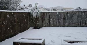 Read more about the article Schools close as snow brings widespread disruption to parts of Wales – Wales Online