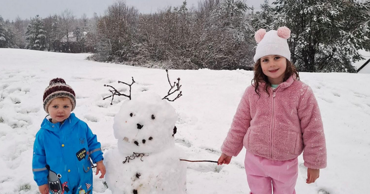 You are currently viewing Schools close and travel disruption continues after heavy snowfall – Wales Online