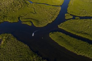 Read more about the article Key Largo – Florida Keys & Key West