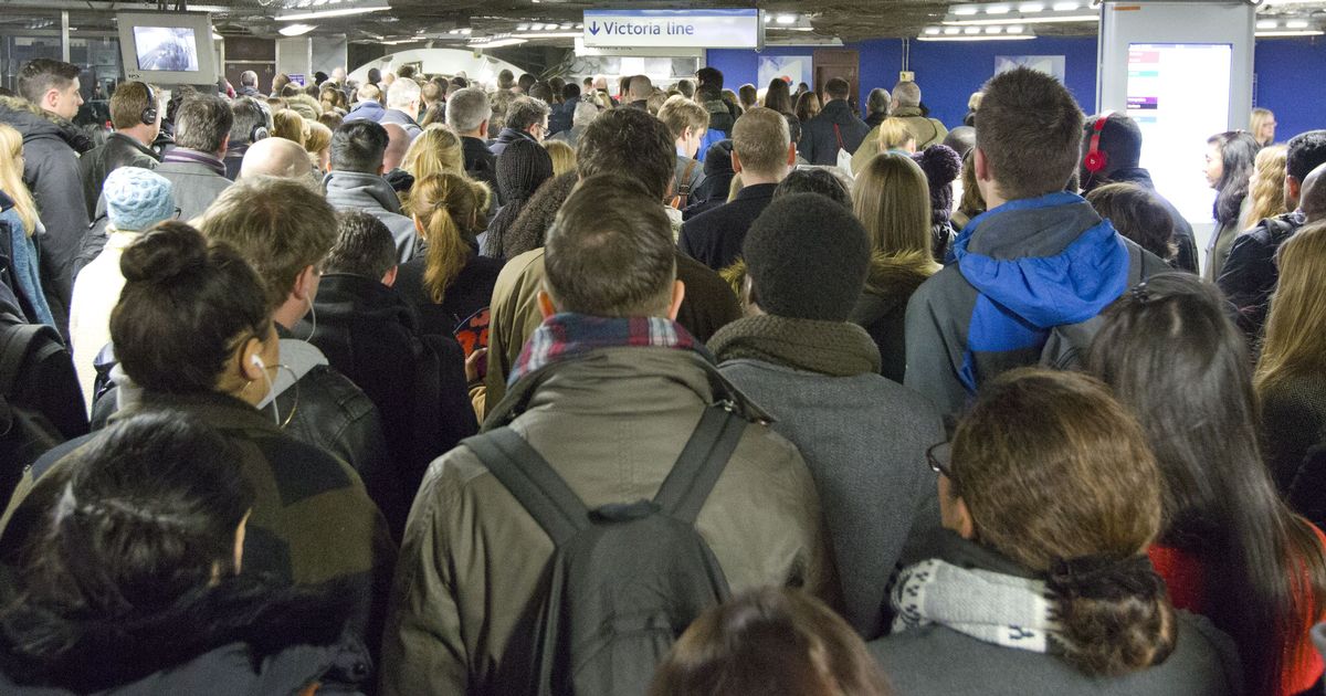 You are currently viewing TfL travel updates live as Victoria line suspended over 'mass overcrowding' – My London