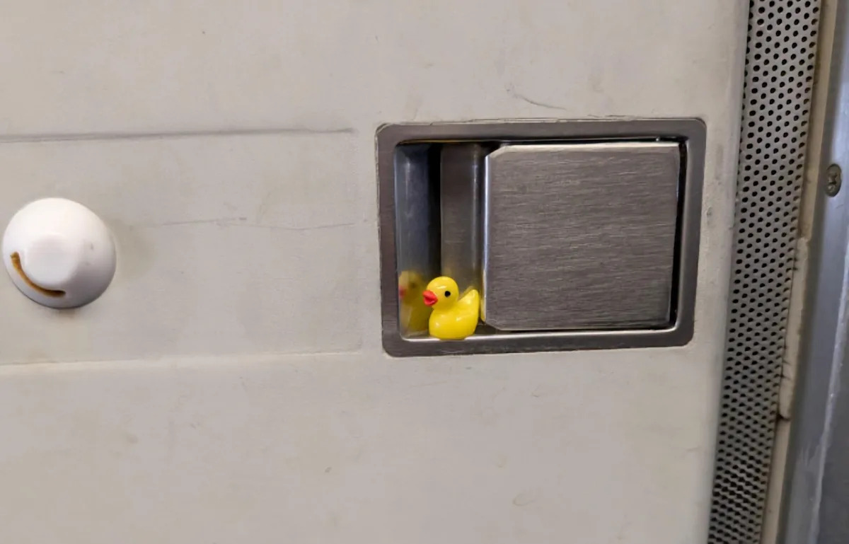 You are currently viewing Forget cruise ships or Jeeps, airplane ducks are the latest travel trend – Yahoo Creators