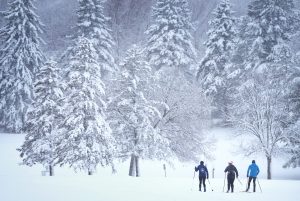 Read more about the article The Forecast Is in for an “Intense, Stormy Winter.” These Cities Will Get the Most Snow. – Outside Magazine