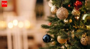 Read more about the article Christmas 2025: Top 5 budget-friendly destinations you can travel to with your kids this Christmas – Times of India