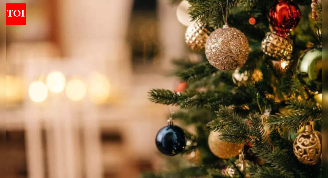 You are currently viewing Christmas 2025: Top 5 budget-friendly destinations you can travel to with your kids this Christmas – Times of India