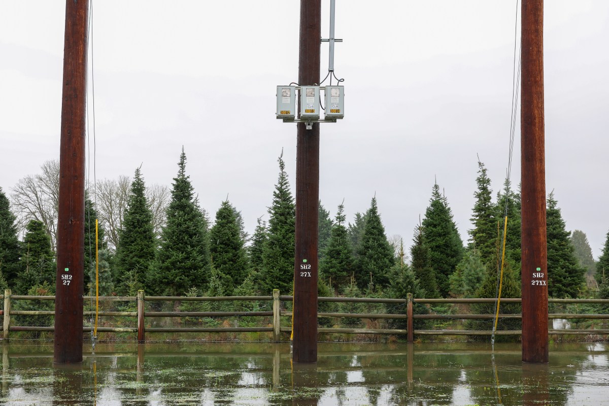 You are currently viewing Holiday Weather Warnings Live: Winter storm alerts impact holiday travel – Newsweek