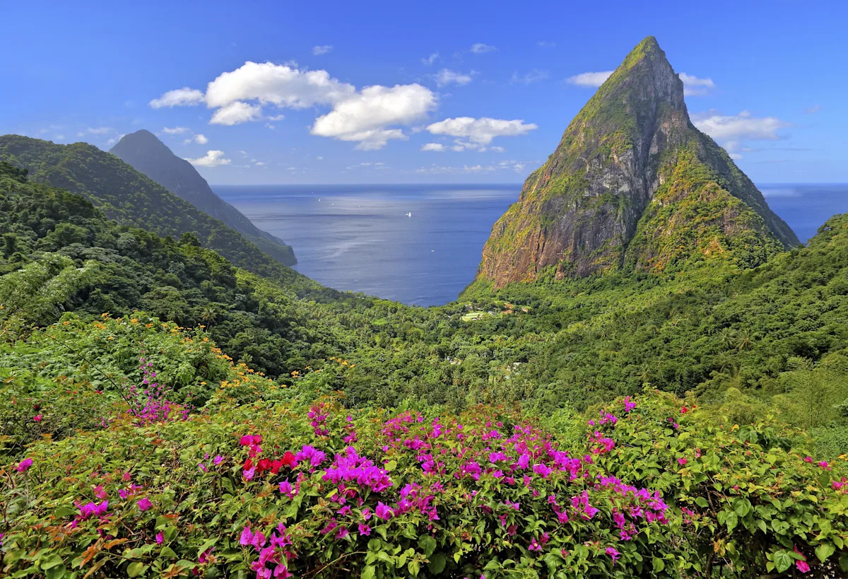 You are currently viewing Bad Bunny, new flights, and cruise ships: Why Caribbean travel is booming in 2026 – Yahoo Creators