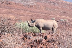 Read more about the article 2026 holiday ideas from this international travel guide – The Star