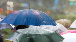 Read more about the article Sensible Weather Expands Through Hospitality Solutions Partnership – Travel Agent Central