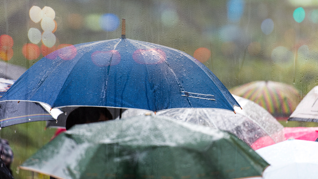 You are currently viewing Sensible Weather Expands Through Hospitality Solutions Partnership – Travel Agent Central