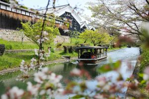 Read more about the article This Country Was Just Ranked the Safest in Asia, According to a Travel Safety Study