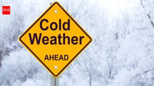 Read more about the article What’s the weather today: Cold wave and dense fog to grip Delhi and several parts of north India; what tr – Times of India