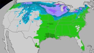 Read more about the article Thanksgiving Travel Weather Forecast: Northern Snow, Rain, Storms In South, East – AOL.com