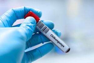 Read more about the article CDC Issues Travel Health Notice on Chikungunya: What Travelers Should Know – TravelPirates