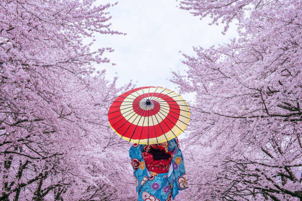You are currently viewing Travelling to Japan 2026 Made Easy: Insider Tips on Departure Fees, Visa Updates, Shopping, and Seasonal Planning for Tourists – Travel And Tour World