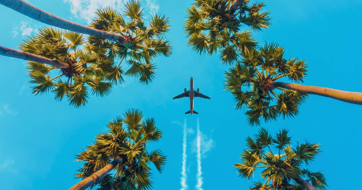 You are currently viewing Latest data reveals the cheapest day of the week to fly – and it's not Tuesday – The Canberra Times