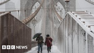 Read more about the article Historic blizzard slams US northeast as NYC bans all travel – BBC
