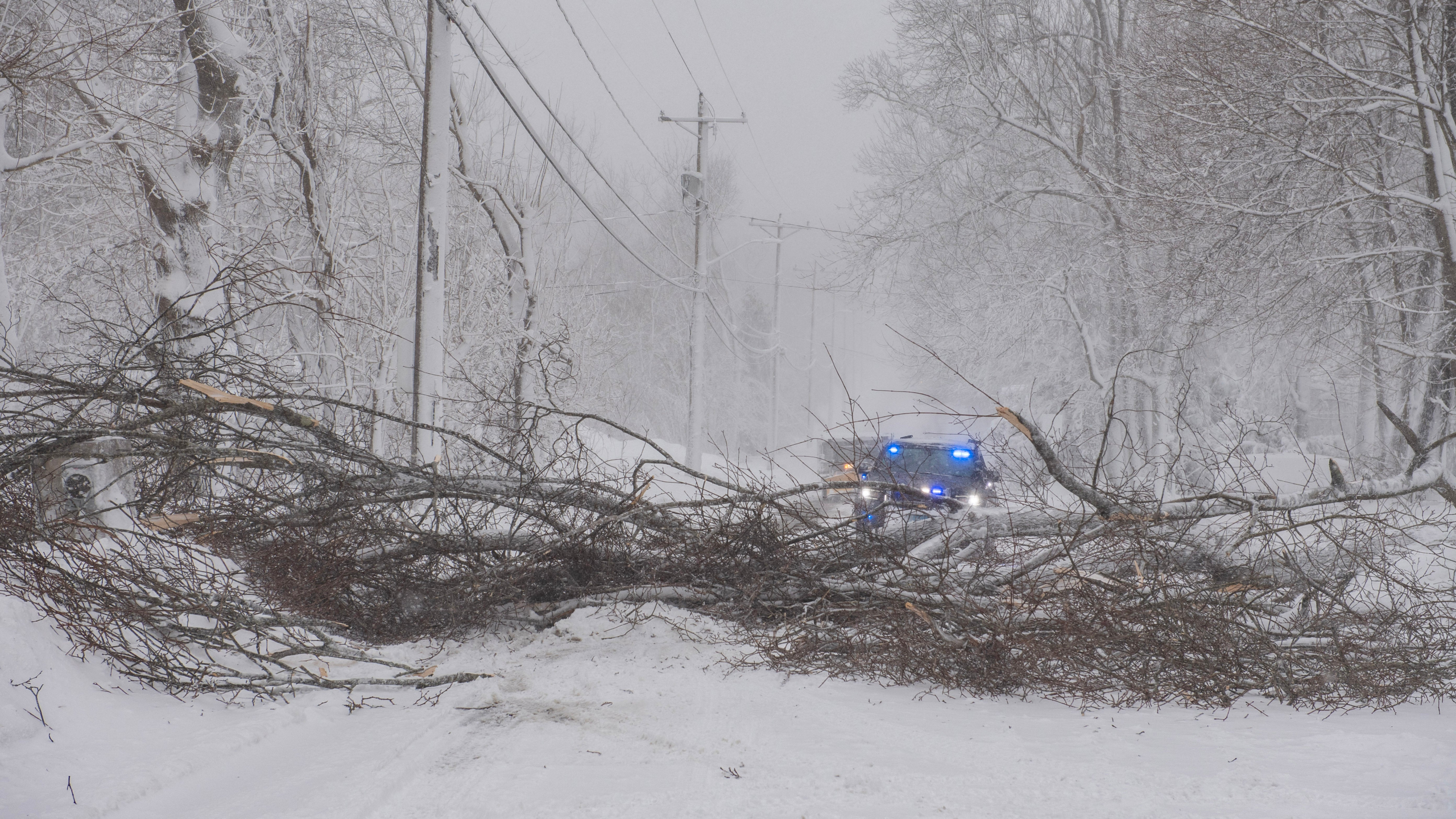 You are currently viewing Historic Winter Storm Hernando Loosens Its Grip – The Weather Channel