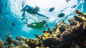 Read more about the article The Florida Keys Are All About Outdoor Fun – Outside Magazine