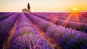 Read more about the article 18 of the best places to visit in June 2026 – The Times