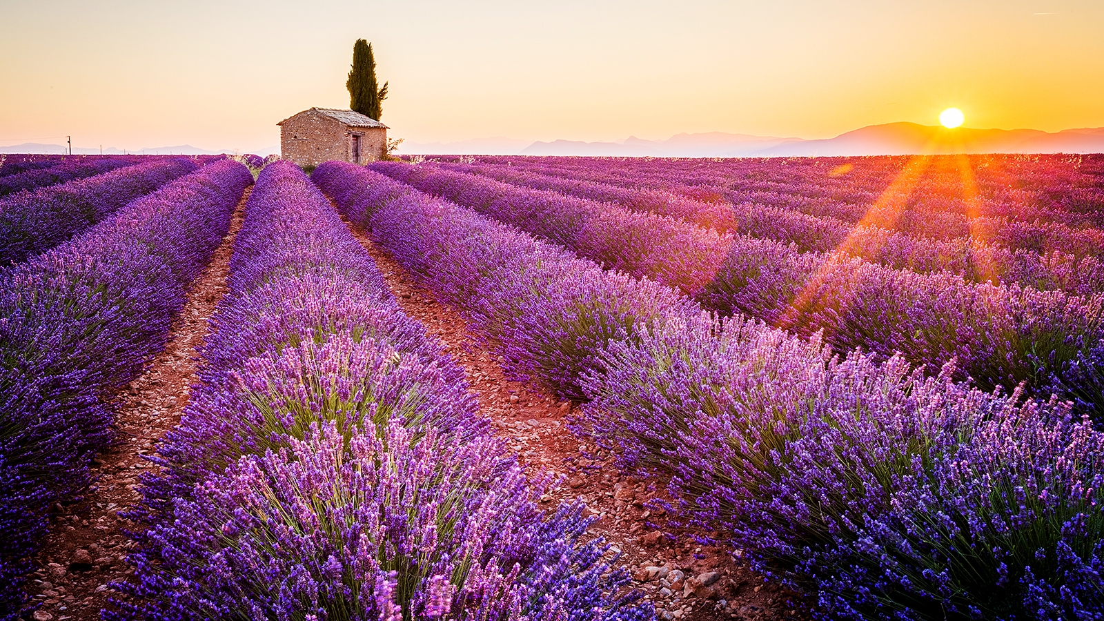 You are currently viewing 18 of the best places to visit in June 2026 – The Times